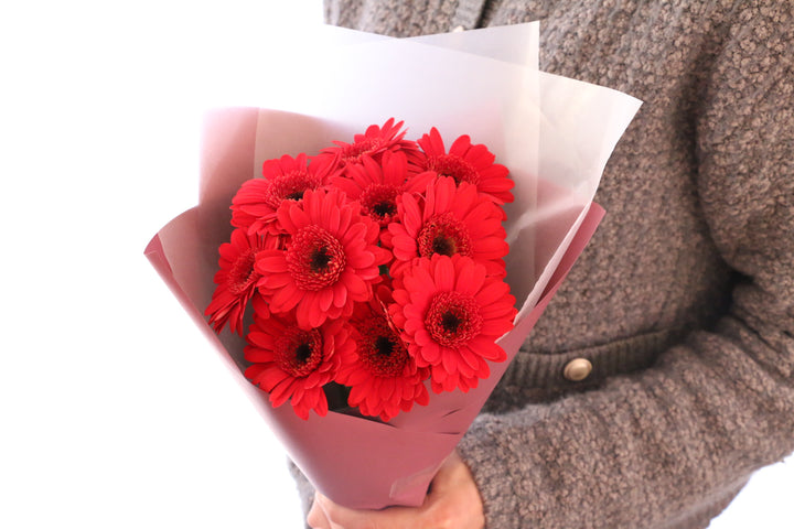 赤色のガーベラの花束（10本）