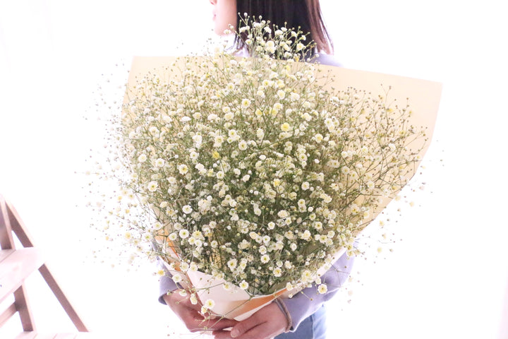 黄色のカスミソウ（かすみ草）の花束 10,000円 2Lサイズ