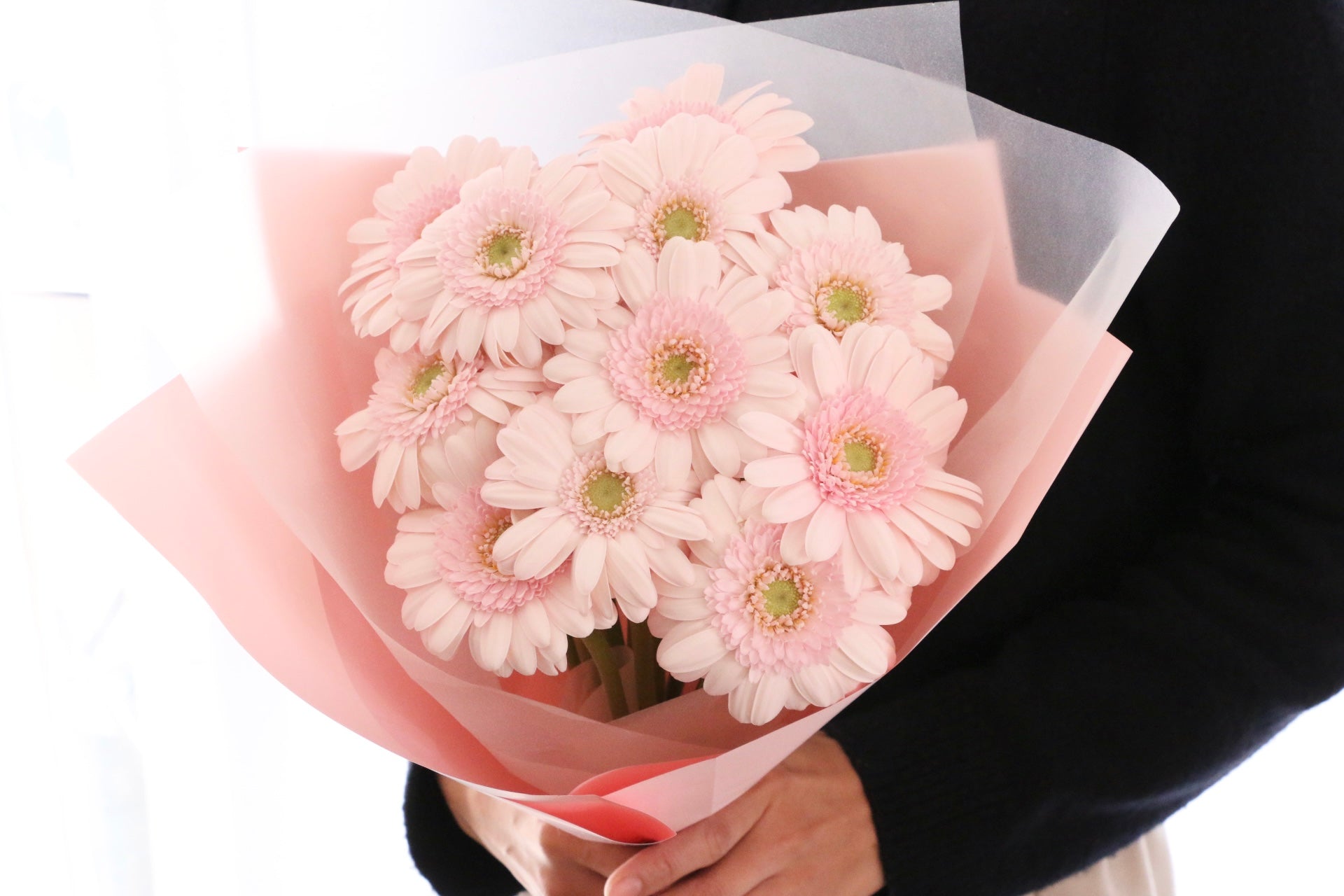 ピンク色のガーベラの花束（12本）-私の妻になってください – 花・花束