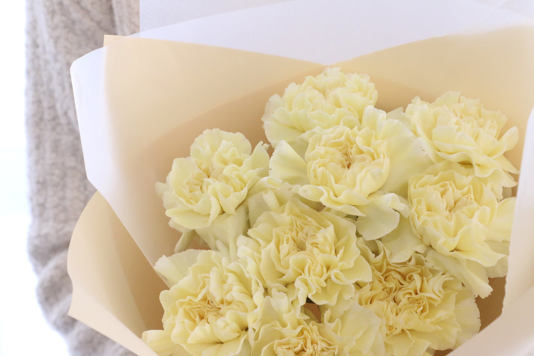 淡い黄色のカーネーションの花束（9本）-いつまでも一緒にいてください