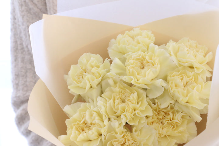 淡い黄色のカーネーションの花束（9本）-いつまでも一緒にいてください