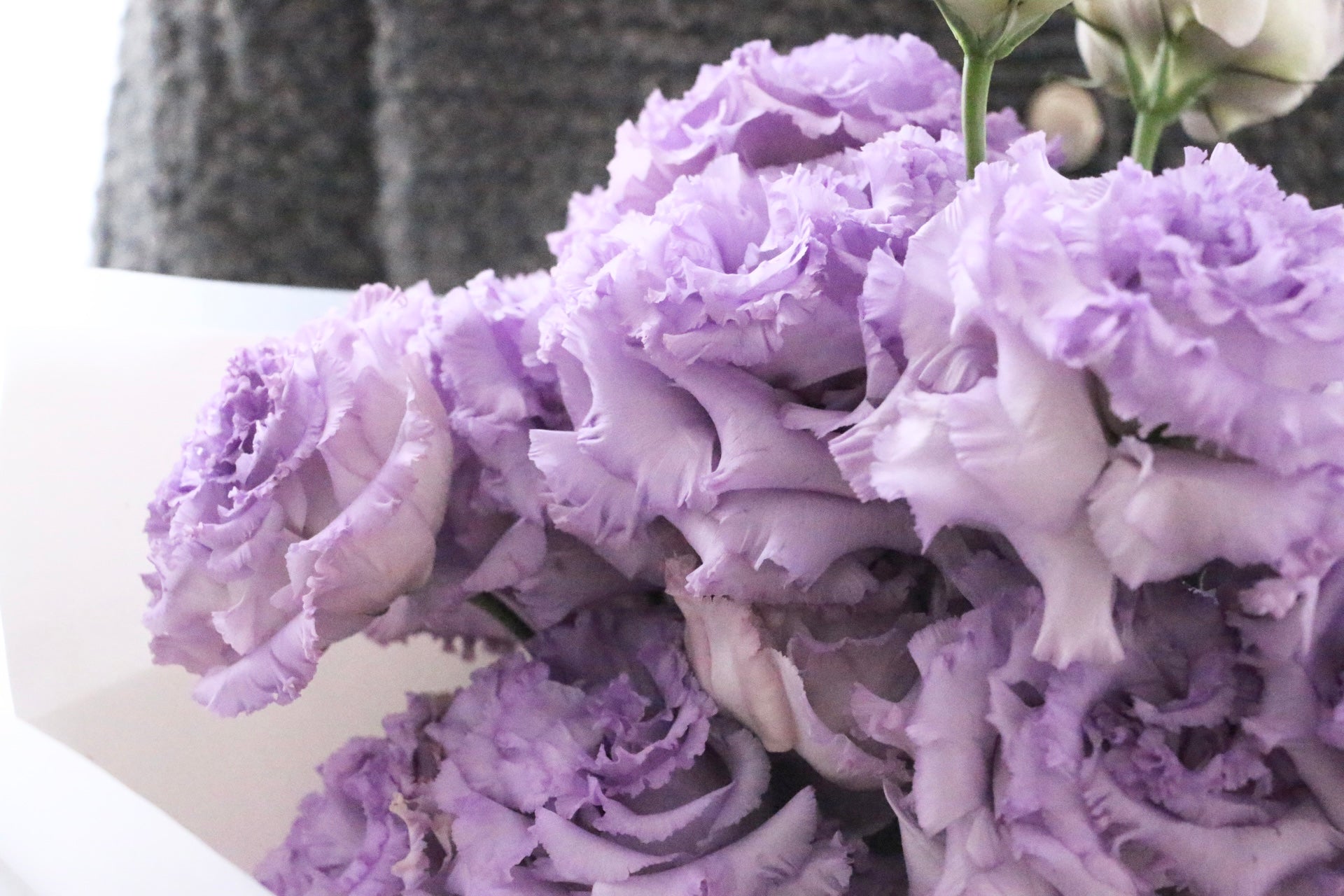 紫色のトルコキキョウの花束（4本） – 花・花束の通販サイト｜HanaTaku
