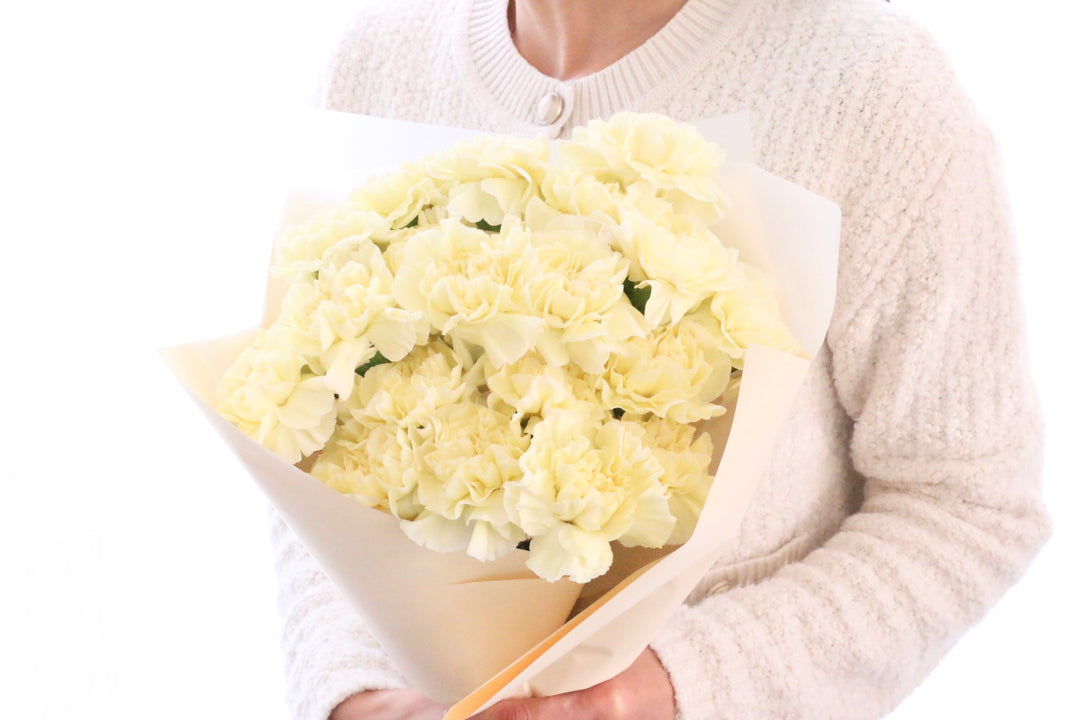 淡い黄色のカーネーションの花束（20本）