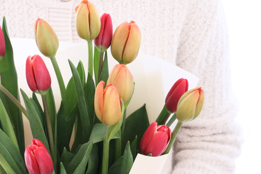 【2色MIX】チューリップの花束（15本）