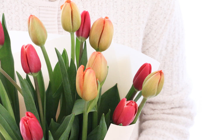 【2色MIX】チューリップの花束（15本）