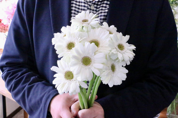 白色のガーベラの花束（10本）