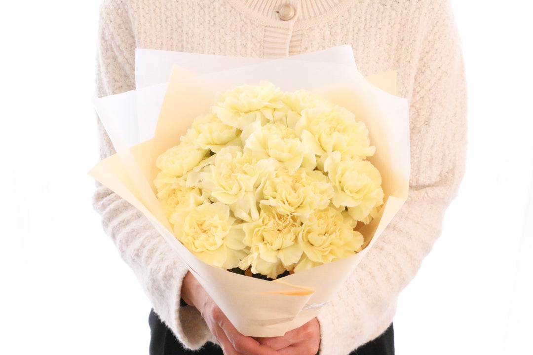 淡い黄色のカーネーションの花束（13本）