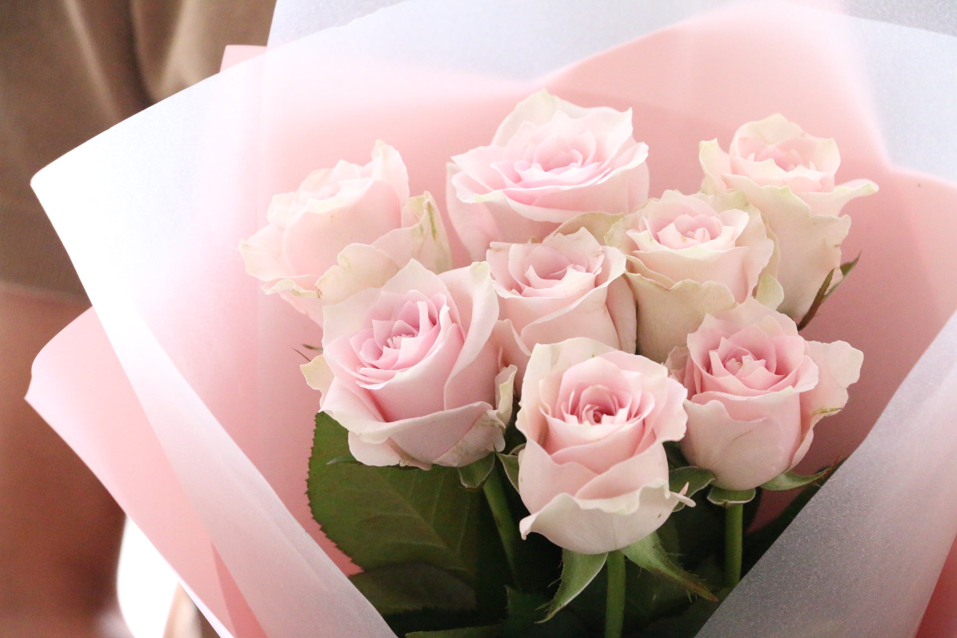 8本のピンク色のバラの花束-あなたの思いやりに感謝します – 花・花束