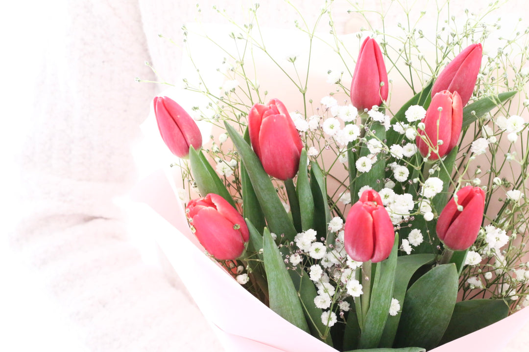 赤いチューリップ（8本）とカスミソウの花束