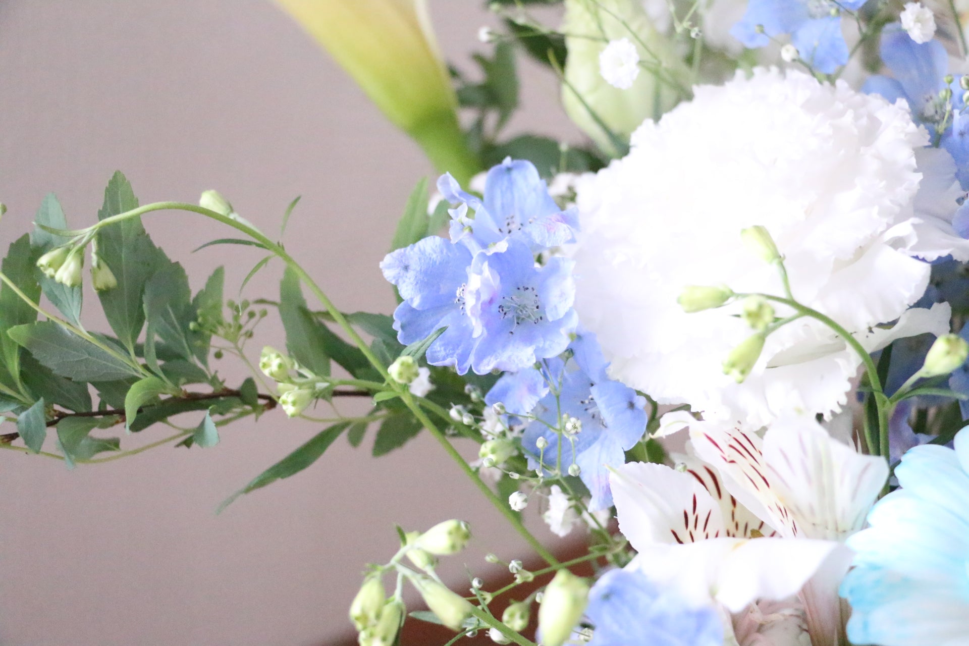 青・水色・白のアレンジメント 15,000円 – 花・花束の通販サイト｜HanaTaku