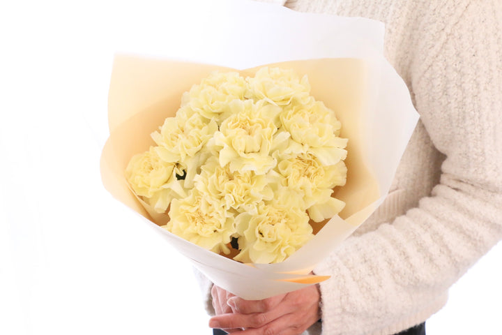 淡い黄色のカーネーションの花束（10本）