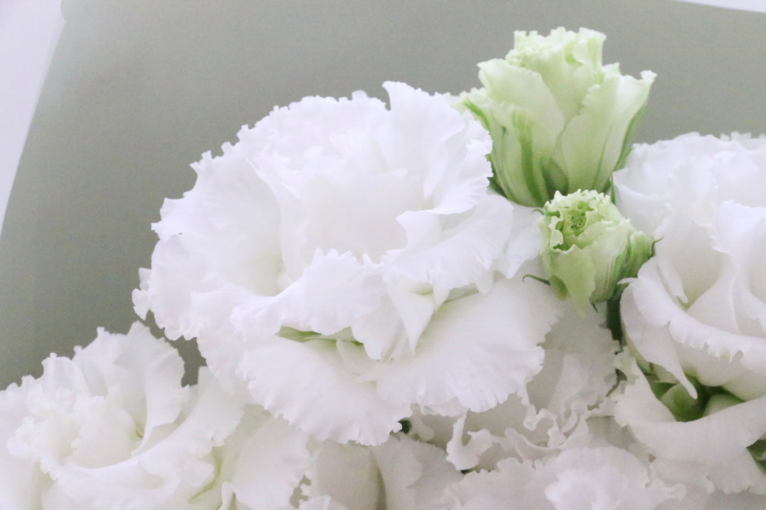 白いトルコキキョウの花束（3本）