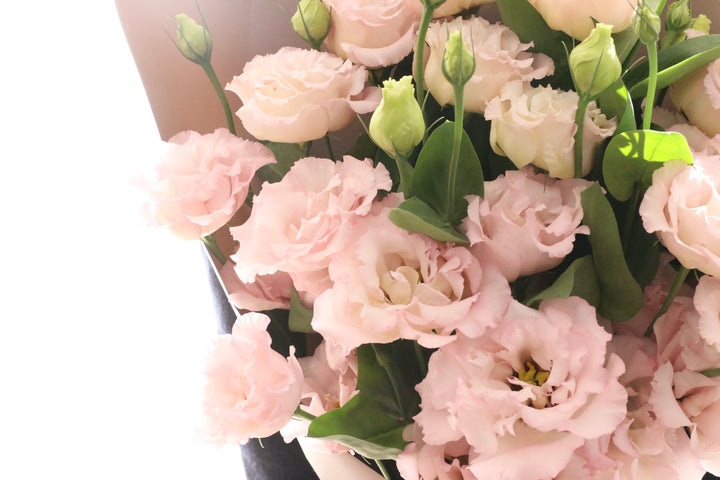 ピンク色のトルコキキョウの花束（9本）