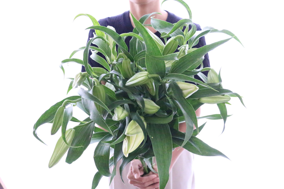 カサブランカの花束（5本）