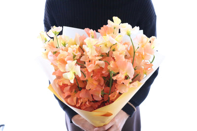 オレンジ色のスイートピーの花束（25本）