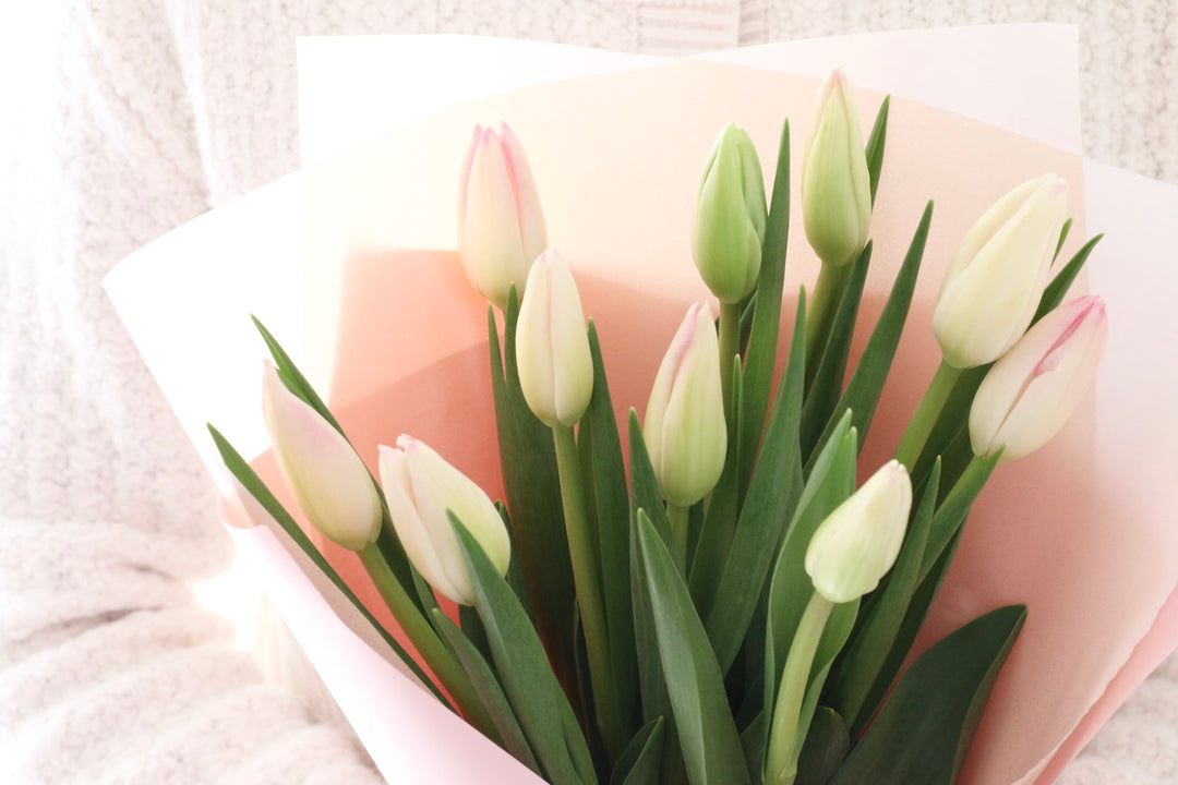 淡いピンクのチューリップの花束（10本）