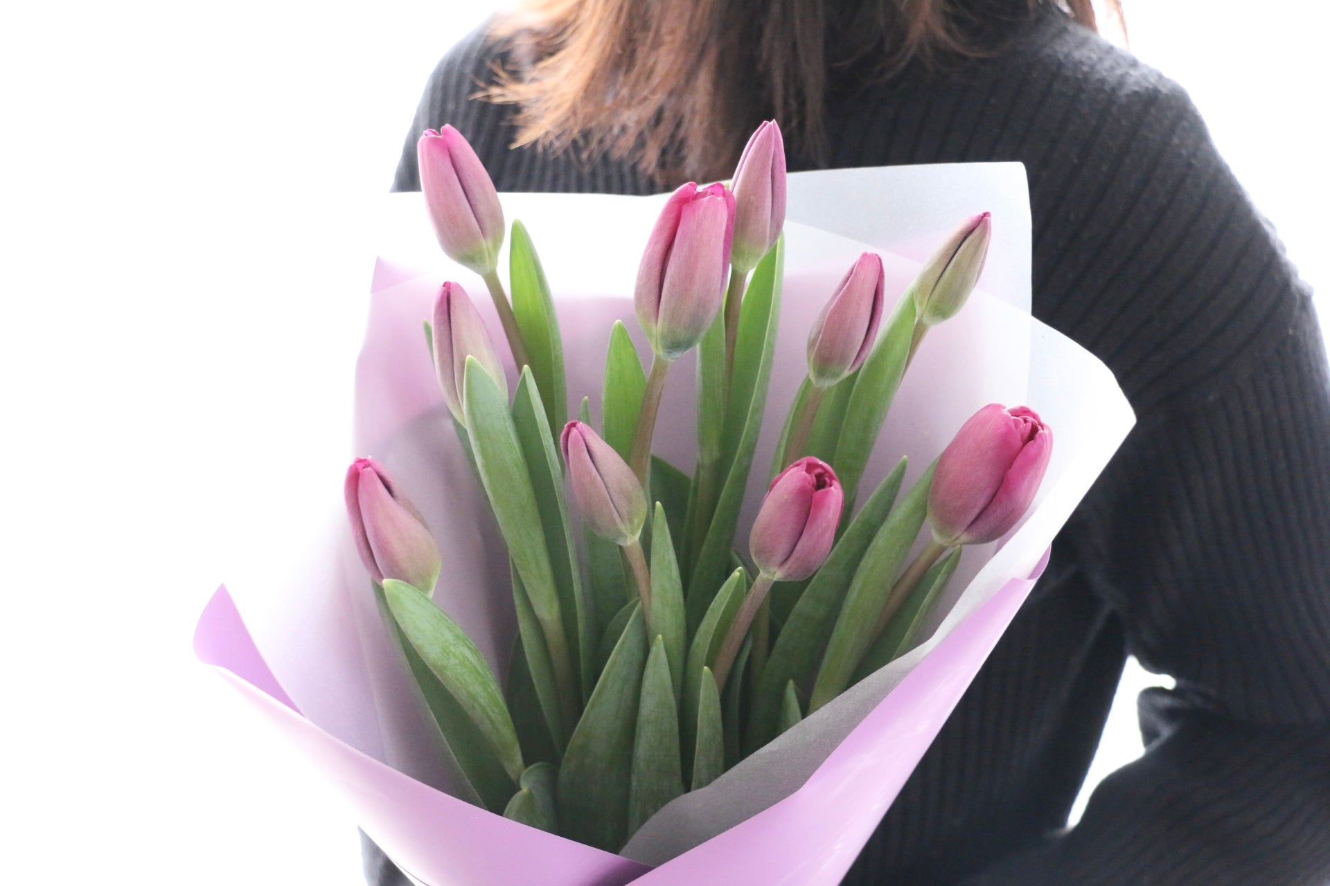 【チューリップの花束】特別限定版 チューリップと紫スイートピーの花束 - チューリップ特集｜｜花や花束