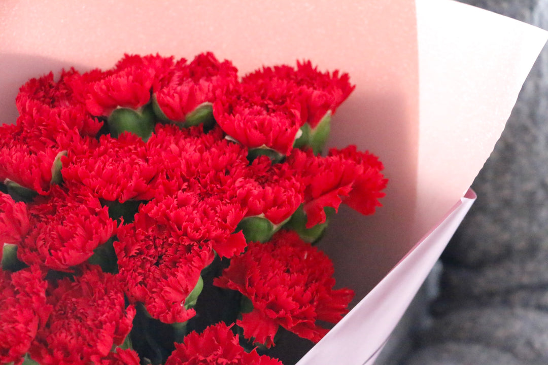 赤色のカーネーションの花束（20本）