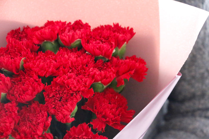 赤色のカーネーションの花束（20本）