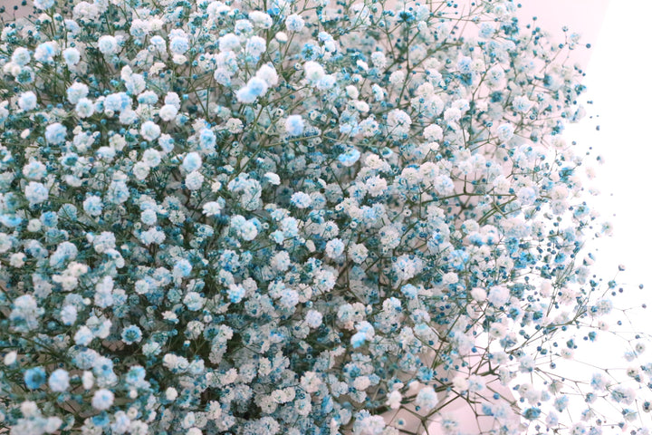 水色のカスミソウ（かすみ草）の花束 10,000円