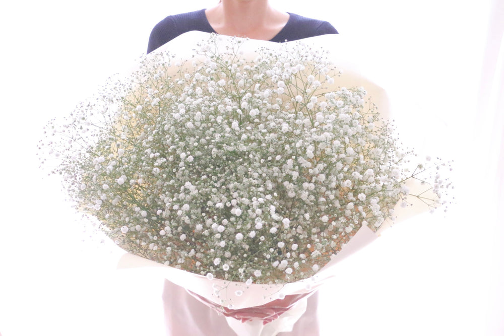 カスミソウ（かすみ草）の花束 9,000円