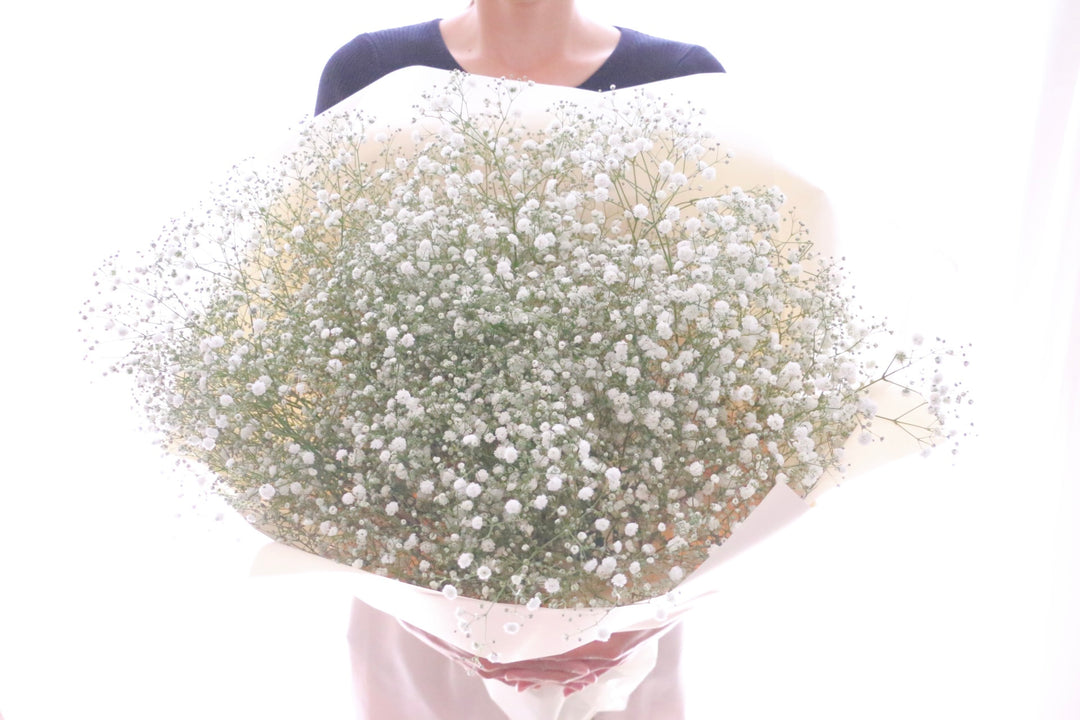 カスミソウ（かすみ草）の花束 9,000円