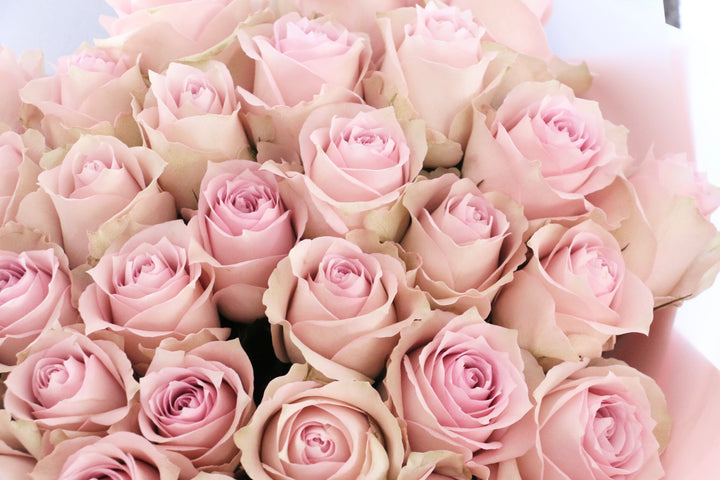 30本のピンク色のバラの花束-あなたとのご縁を大切にしたい