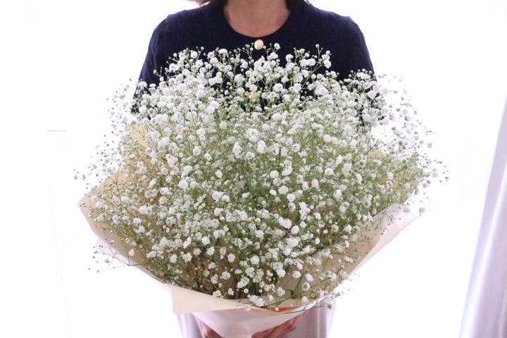 カスミソウ（かすみ草）の花束 6,000円