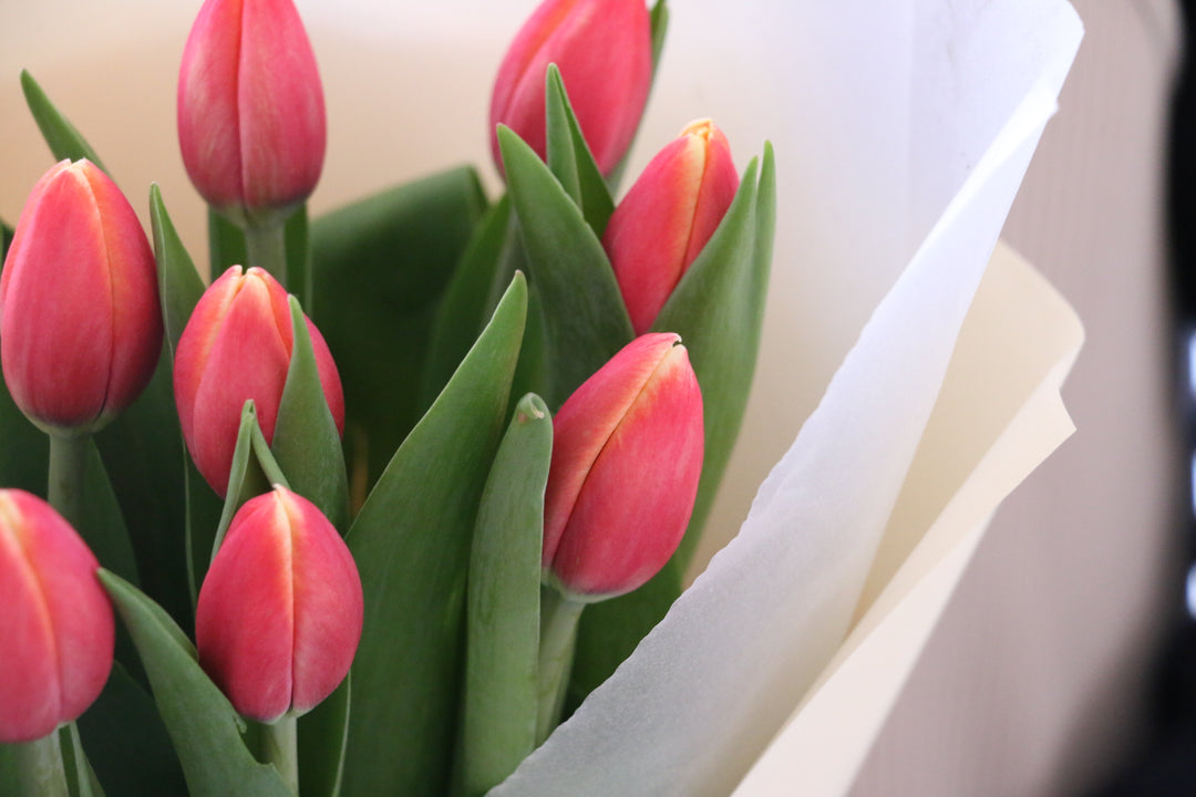 赤色のチューリップの花束（9本）