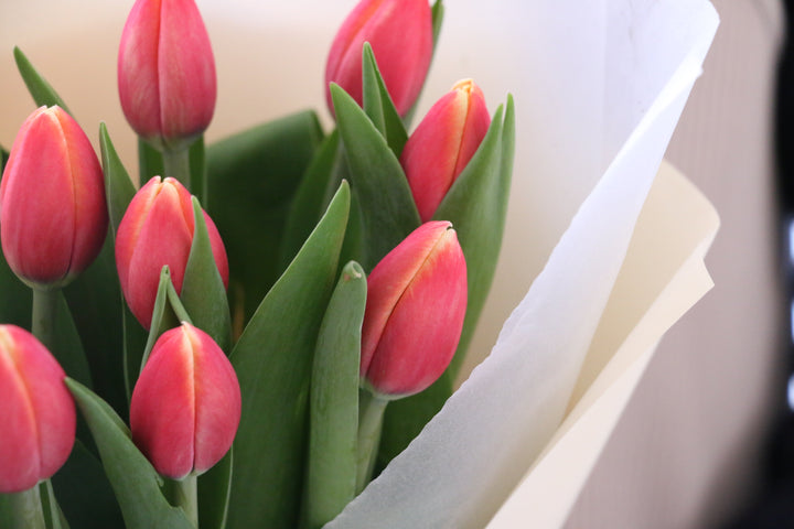 赤色のチューリップの花束（9本）