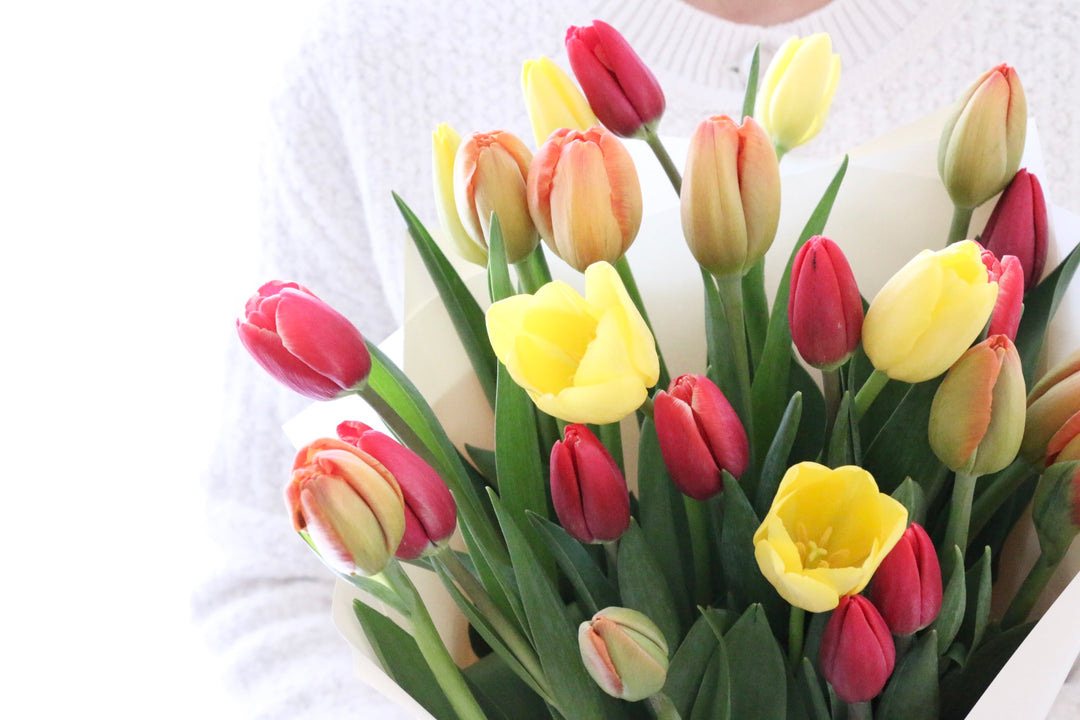 【3色MIX】チューリップの花束（25本）