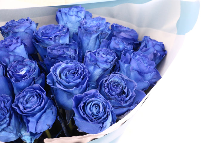 【大輪】20本の青いバラの花束
