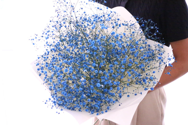 青のカスミソウ（かすみ草）の花束 3,500円