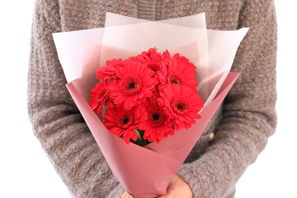 赤色のガーベラの花束（10本）