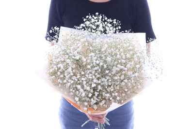 カスミソウ（かすみ草）の花束 4,000円