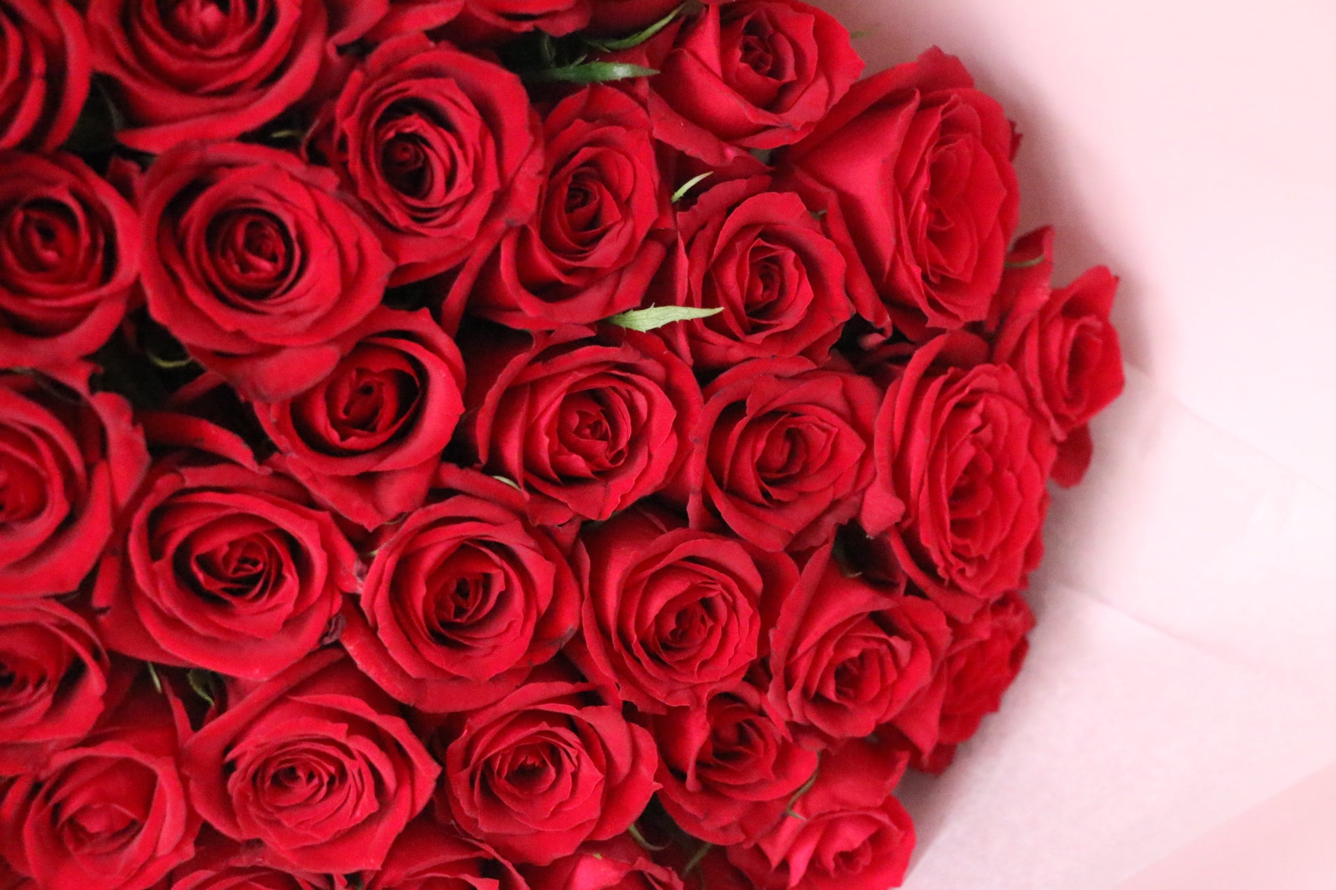 天然石の花束　50本 50rose_eye.jpg