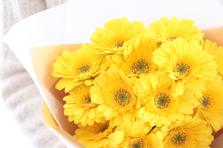 黄色のガーベラの花束（13本）-永遠の友情