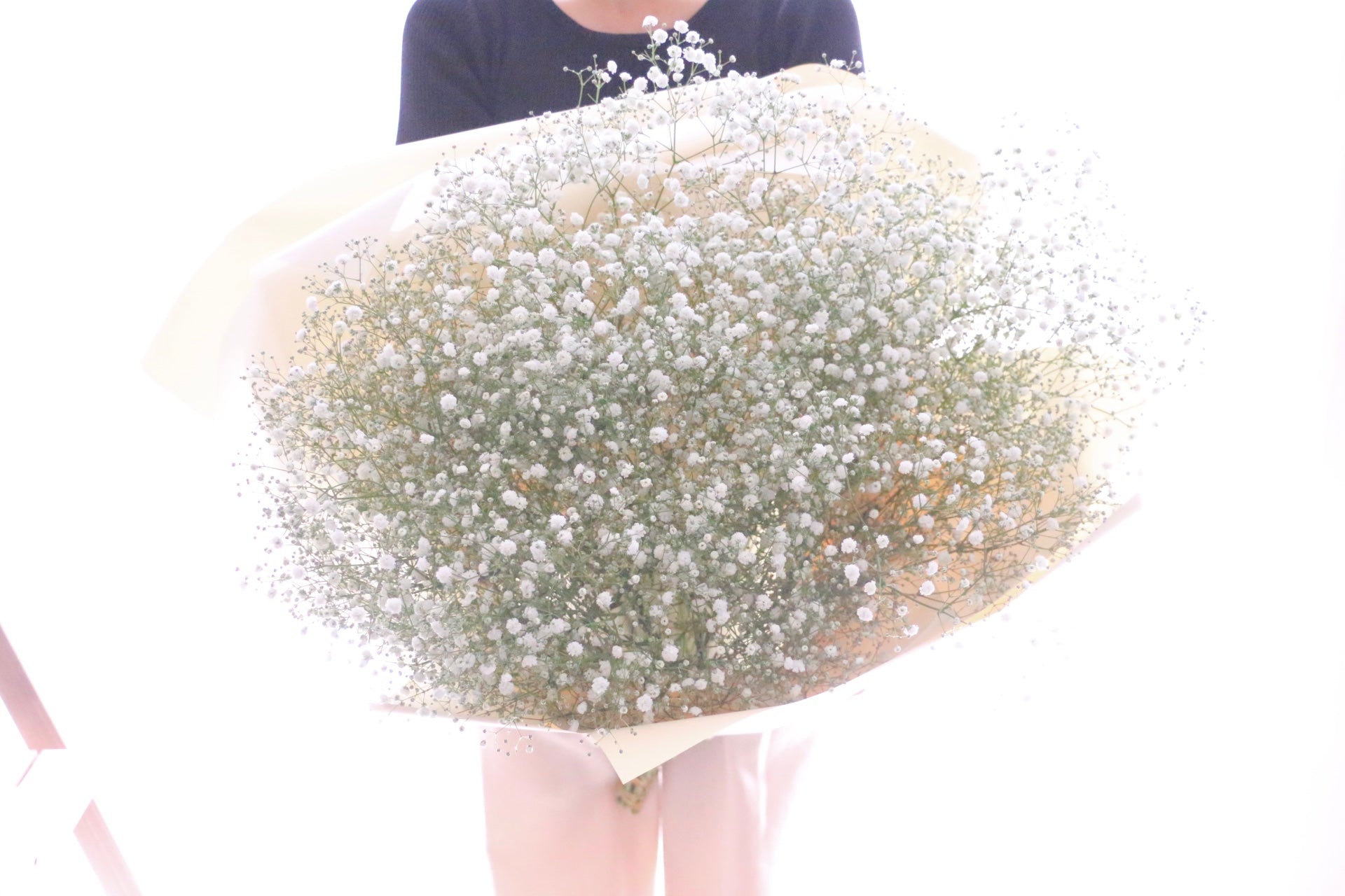 カスミソウ（かすみ草）の花束（10本） – 花・花束の通販サイト｜HanaTaku