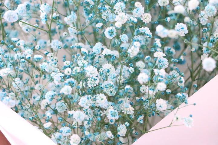水色のカスミソウ（かすみ草）の花束 3,500円