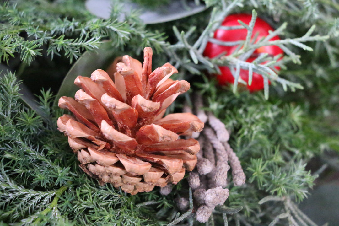 フレッシュクリスマスリース 生花  レッド Mサイズ