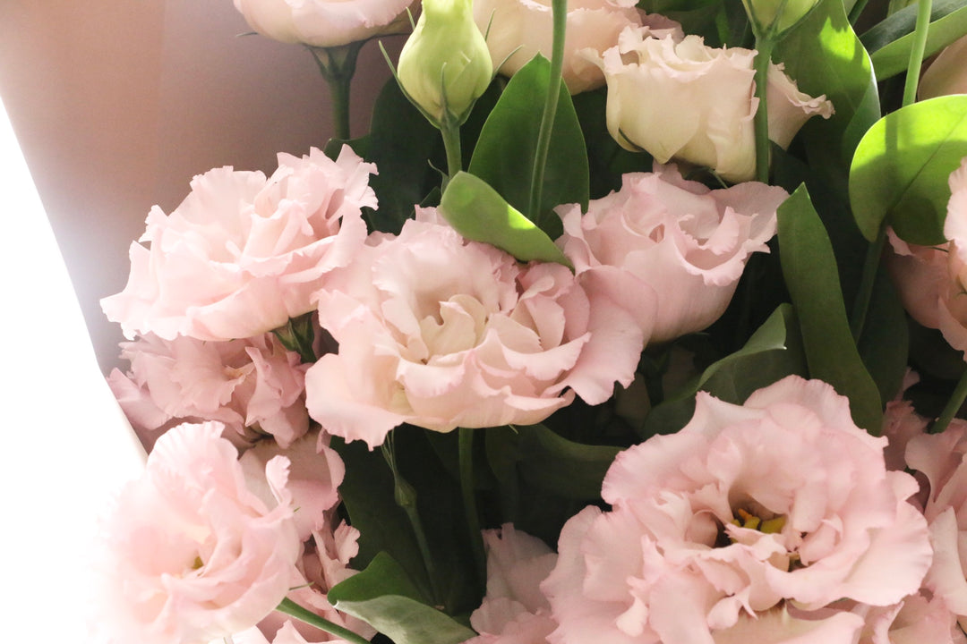 ピンク色のトルコキキョウの花束（8本）