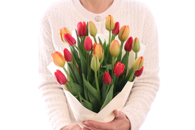【2色MIX】チューリップの花束（20本）
