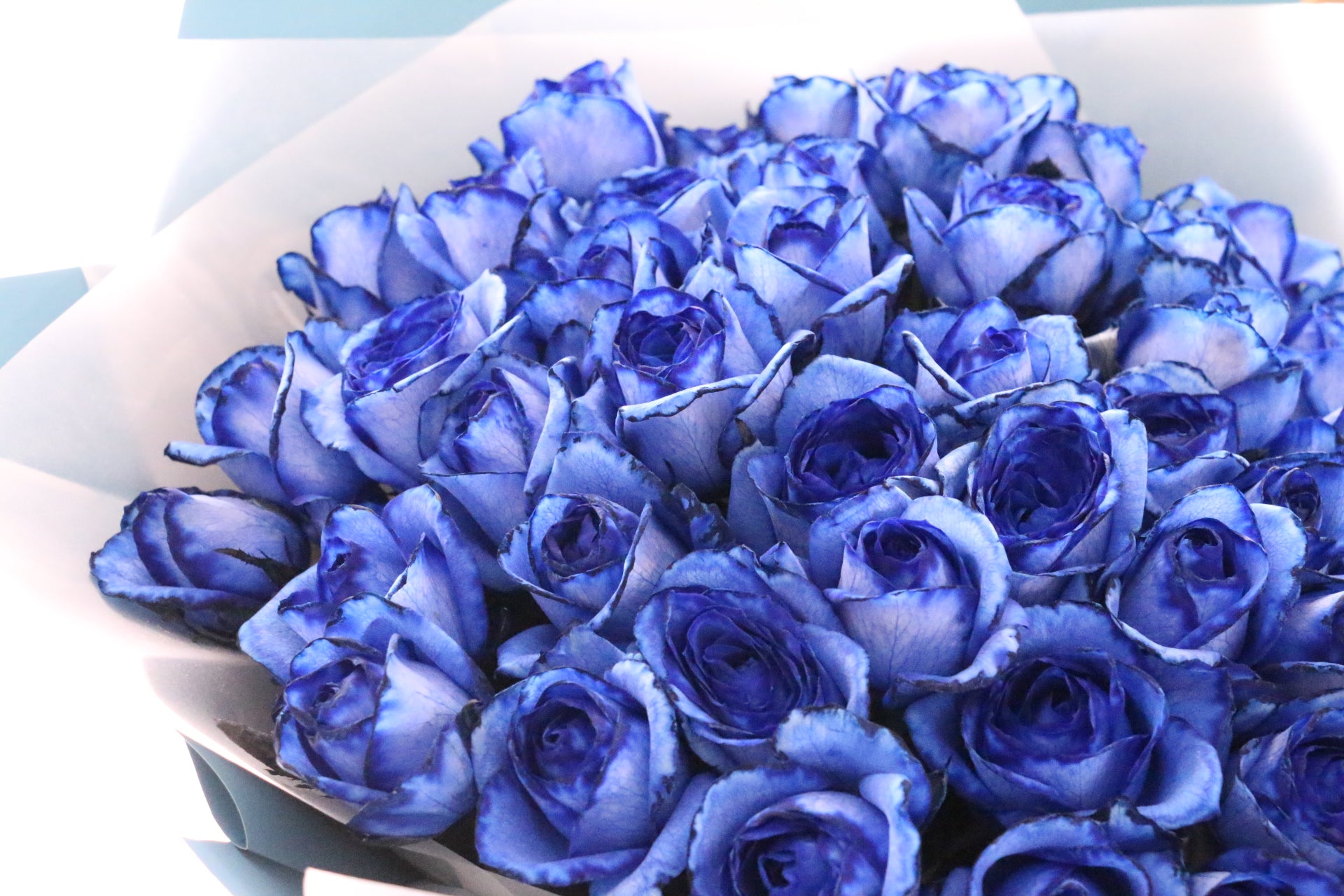 国産】50本の青いバラの花束-永遠 – 花・花束の通販サイト｜HanaTaku