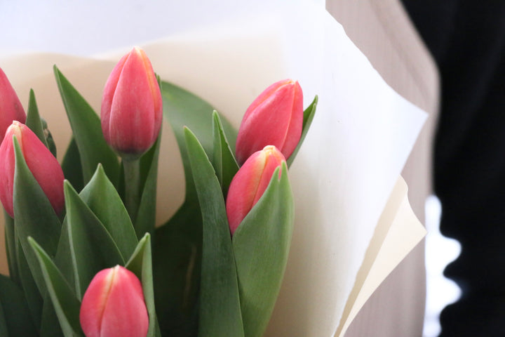 赤色のチューリップの花束（8本）