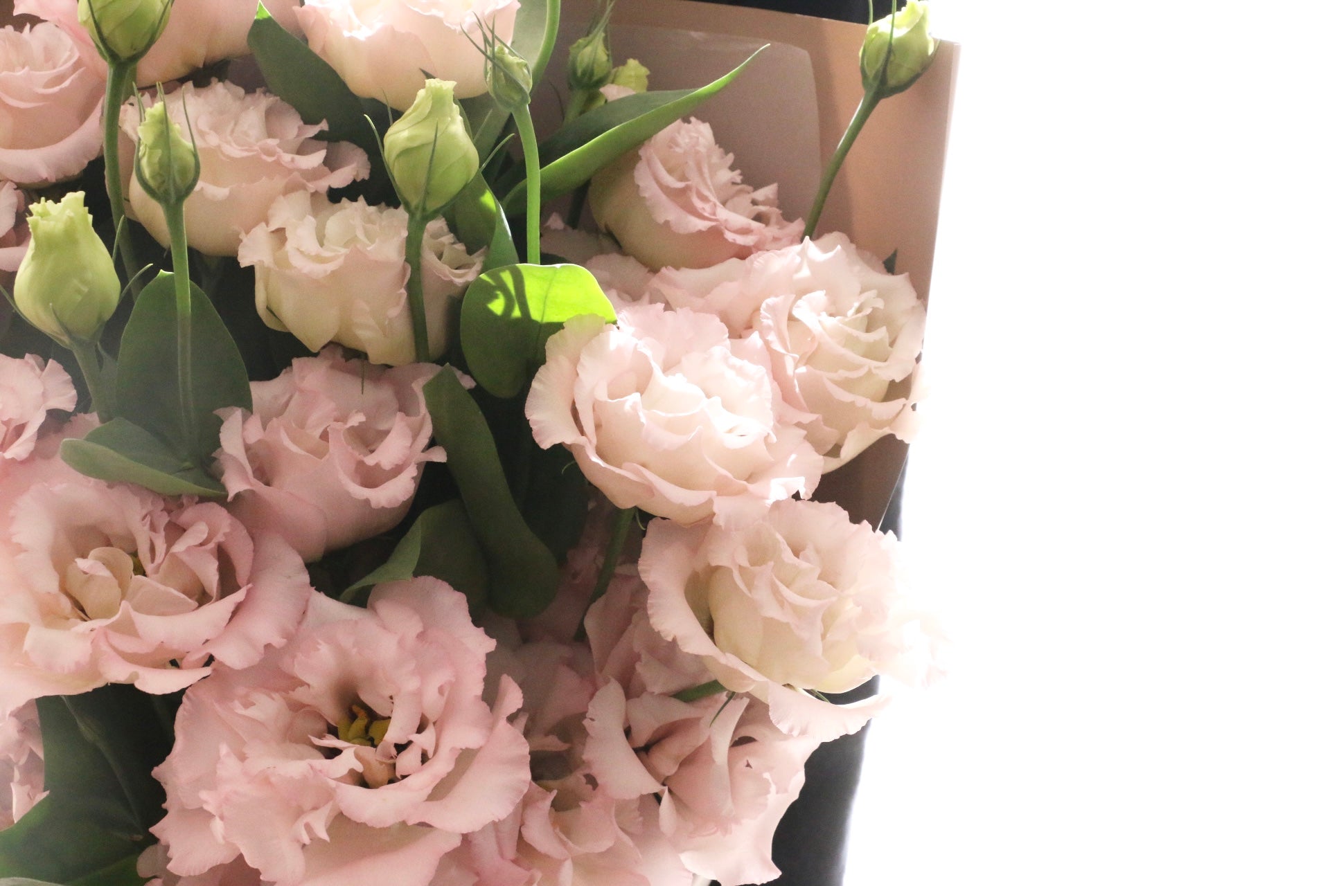 淡いピンクのリシアンサス花束 ピンク色のトルコキキョウの花束（9本） – 花・花束の通販サイト｜HanaTaku