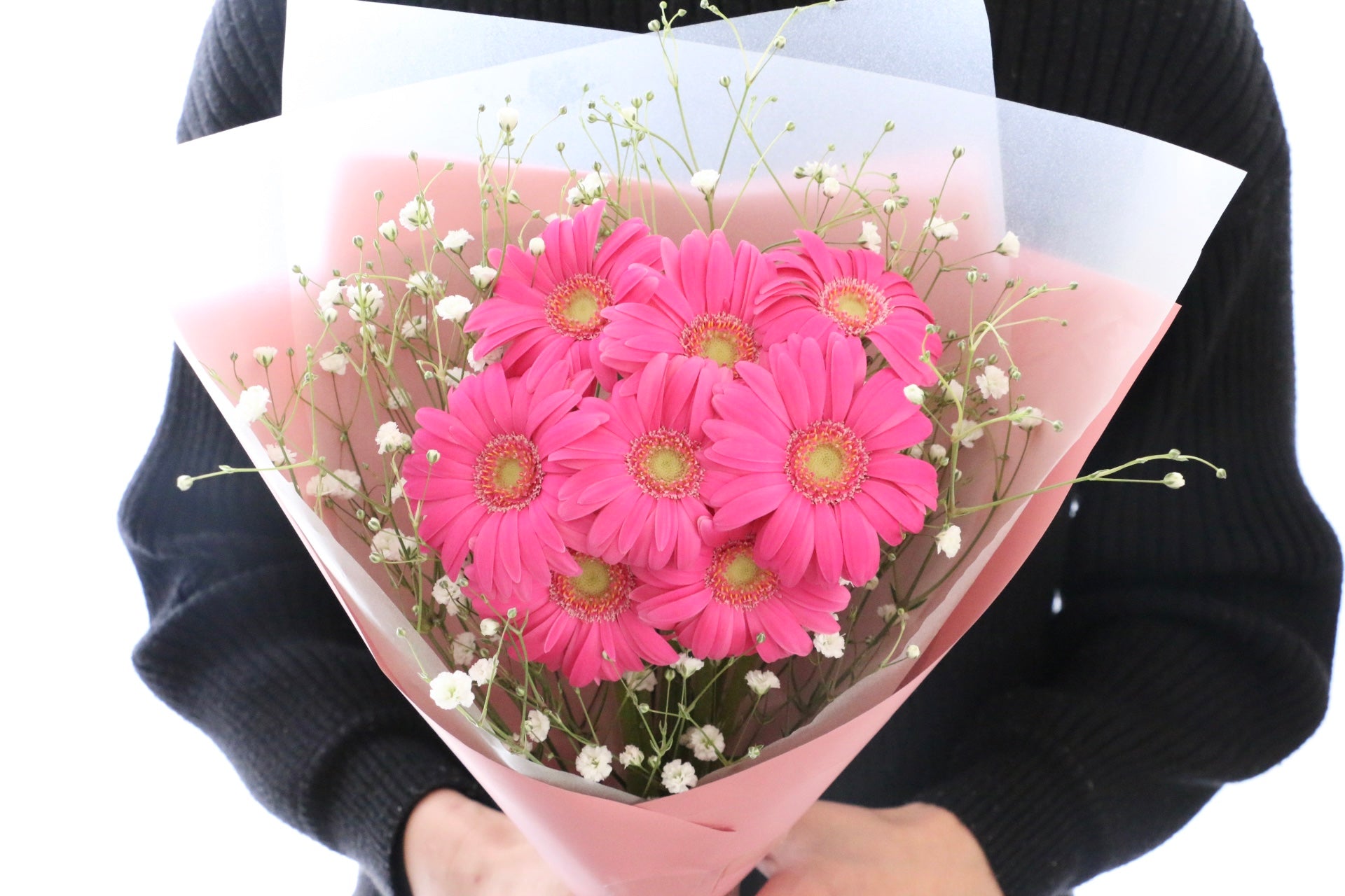 濃いピンク色のガーベラ（8本）とカスミソウの花束 – 花・花束の通販