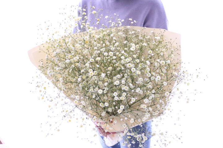 黄色のカスミソウ（かすみ草）の花束 5,000円 Mサイズ