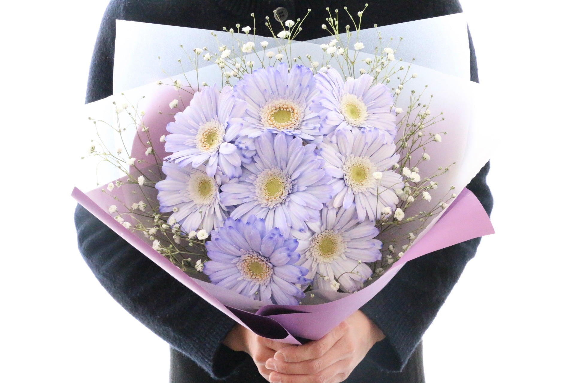 紫色のガーベラ（8本）とカスミソウの花束 – 花・花束の通販サイト