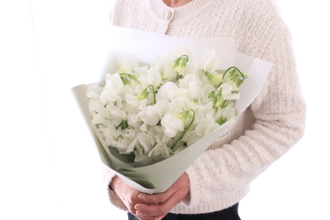 白いスイートピーの花束（25本）