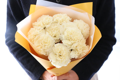 淡い黄色のカーネーションの花束（10本）